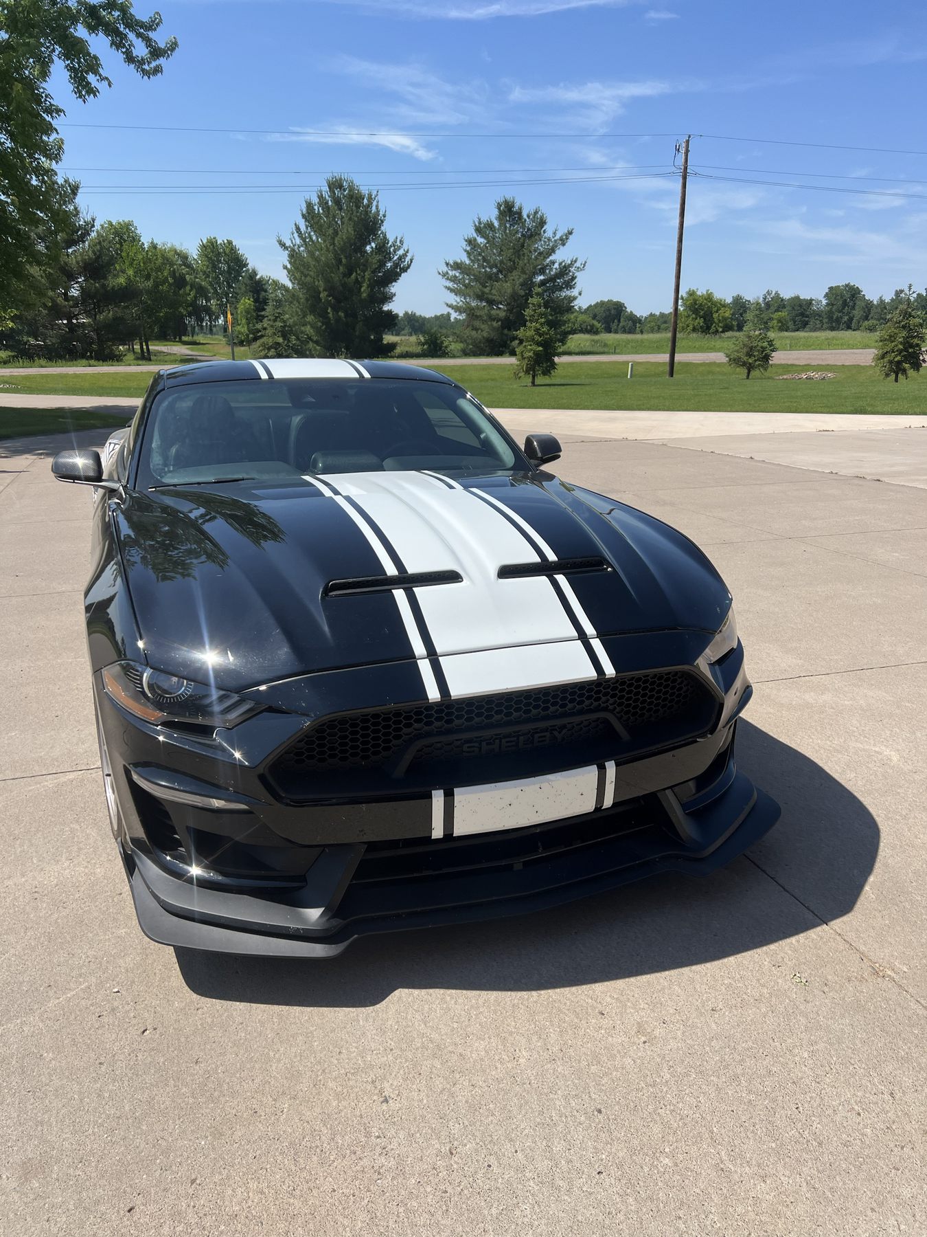 Black Shelby Mustang after detail